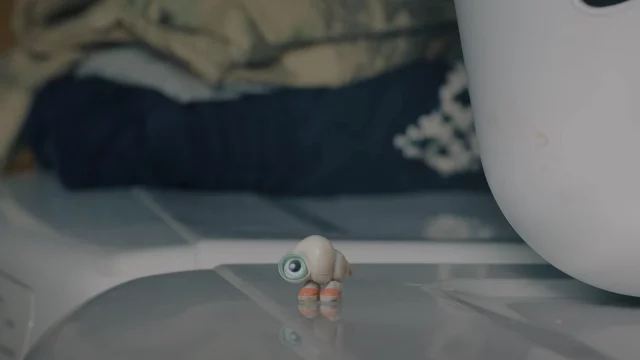 Where To Watch Marcel The Shell With Shoes On For Free In 2022? Find Here!