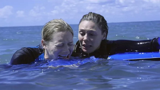 Where To Watch The Reef Stalked For Free? Find Out Your Options!