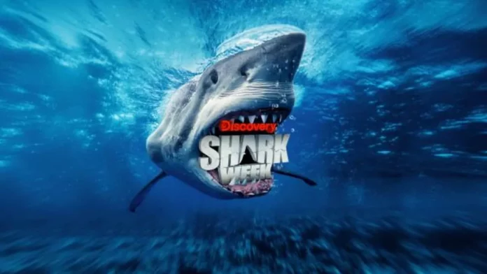 Where To Watch Shark Week 2022 For Free? The Sea Predators Are Here!
