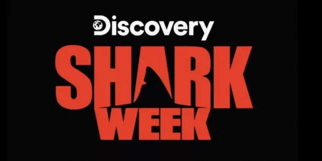 Where To Watch Shark Week 2022 For Free? The Sea Predators Are Here!