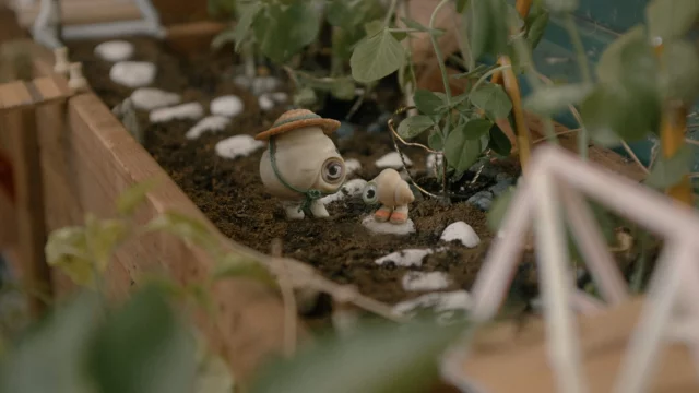 Where To Watch Marcel The Shell With Shoes On For Free In 2022? Find Here!