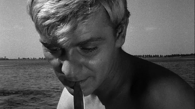 Where To Watch Knife In The Water For Free? Explore Your Streaming Options Here!