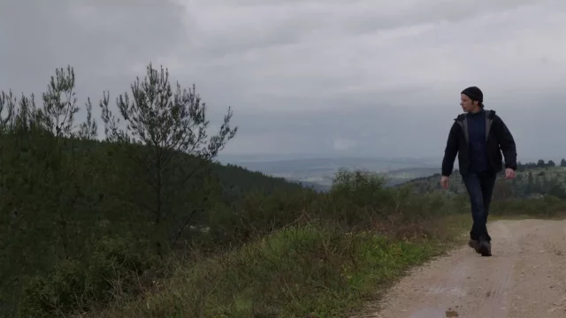 Where To Watch My Tree For Free? An Exceptional Docu-Feature!