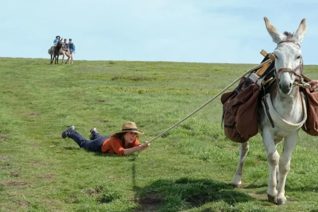 Where To Watch My Donkey My Lover And I For Free? A Sensational French Romantic-Comedy Movie!