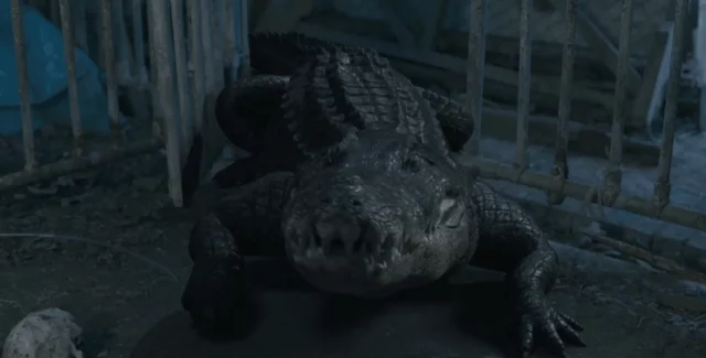 Where Was Crocodile Vengeance Filmed? A Super New Action Flick!!!
