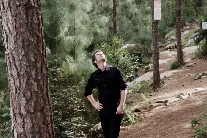 Where To Watch My Tree For Free? An Exceptional Docu-Feature!