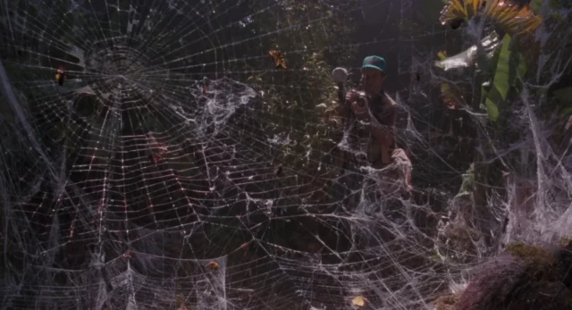 Where Was Arachnophobia Filmed? A Series Of Unexpected Events!