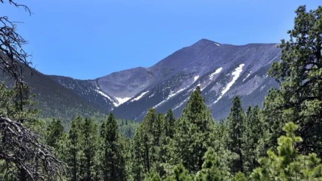 Where Was Into The Wild Filmed? Filming Locations For A Road Trip!