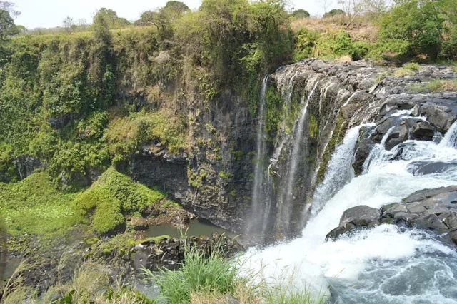 Where Was Apocalypto Filmed? Filming Locations Of The Historical Adventure Movie!  