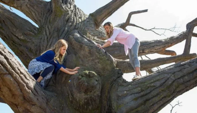 Where Was Miracles From Heaven Filmed? Locate All The Miraculous Locations!