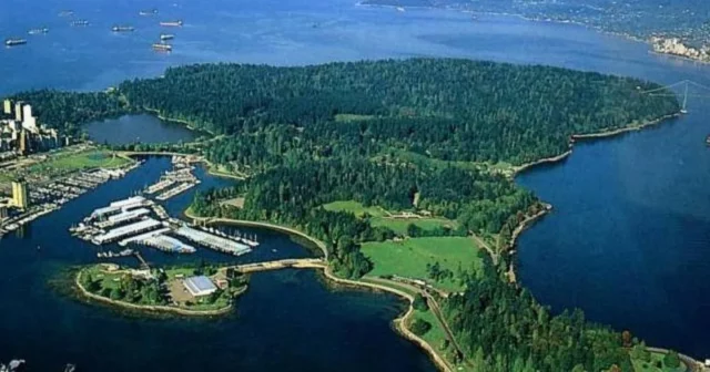 Where Was Ships In The Night Filmed? Filming Locations Of The Sneaky Murder Mystery!
