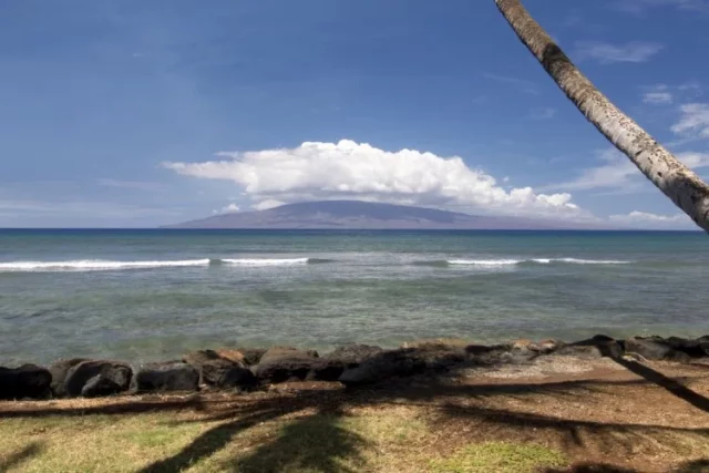 Where Was Deadly Yoga Retreat Filmed? Tale Of A Grim Marriage!!