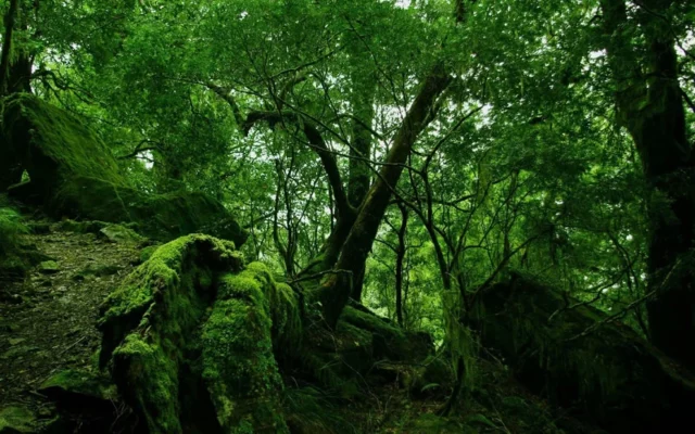Where Was The Huntsman Filmed? Mesmerizing Fantasy World Locations For Winter’s War!