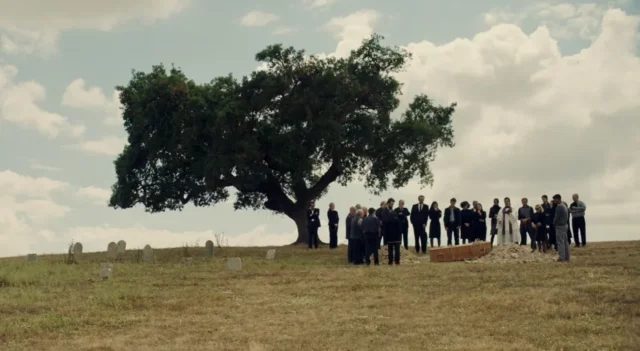 Where To Watch The Domain For Free? Family Drama Amidst Political Chaos!