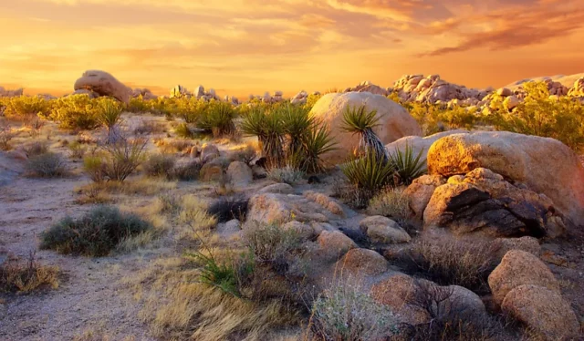 Where Was It Came From Outer Space Filmed? Filming Locations Of The 50s Sci-Fi Movie!