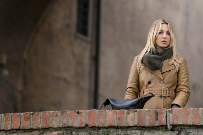 Where To Watch The Flight Attendant 2020 For Free? Thrilling Ride Of Mysteries!