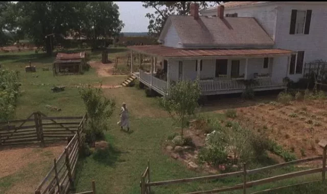 Where Was The Color Purple Filmed? Filming Locations Of A 1985 Epic Drama!