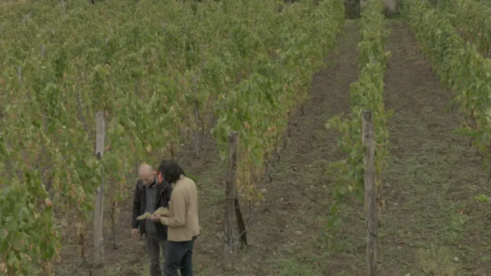 Where To Watch In Pursuit Of Flavor For Free Online? Discover Taste And Flavors!
