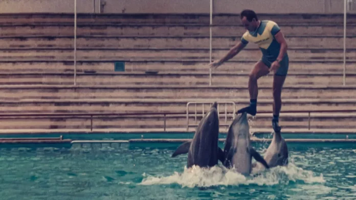 Where To Watch The Last Dolphin King For Free Online? A Riveting Netflix Documentary Film!