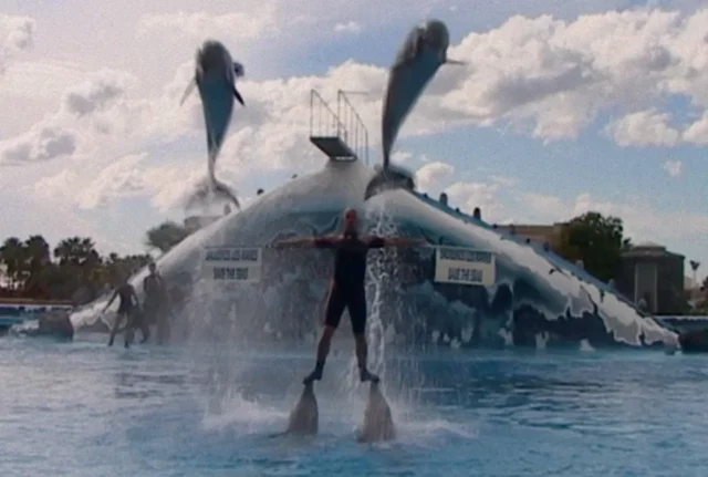 Where To Watch The Last Dolphin King For Free Online? A Riveting Netflix Documentary Film!