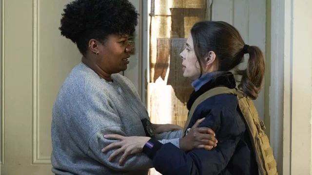 Where To Watch Pretty Hard Cases For Free Online? A Must-Watch Police Comedy Drama Series!
