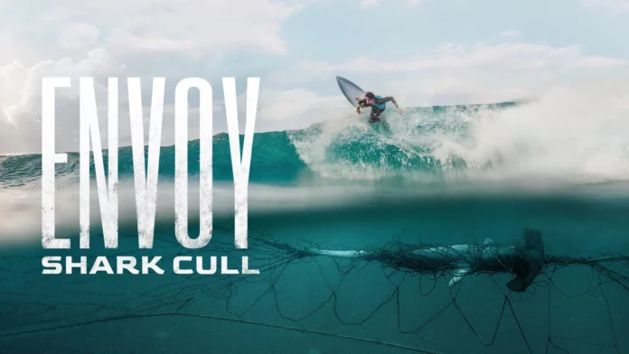 Where To Watch Envoy Shark Cull For Free Online? A Bone-Chilling Documentary!