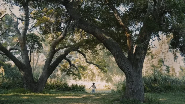 Where To Watch Kindred For Free Online? An Astounding Mystery Drama Series!