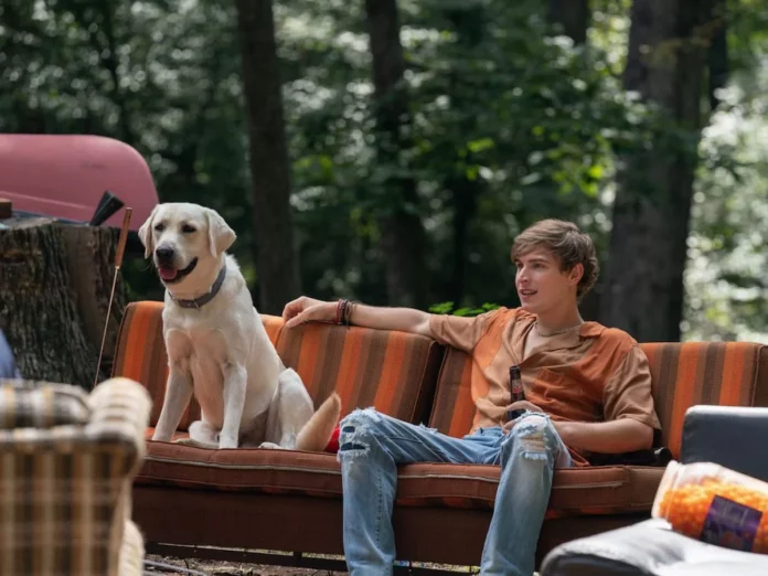 Where Was Dog Gone Filmed? Real Locations Of A Real Story!