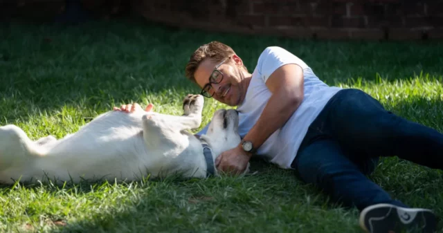 Where Was Dog Gone Filmed? Real Locations Of A Real Story!