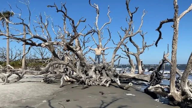 Where Was The Menu Filmed? Explore Some Top Filming Locations!