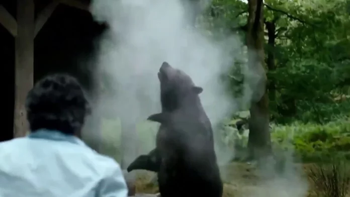Where Was Cocaine Bear Filmed? Best Black-Comedy Flick Of 2023!!
