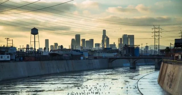 Where Was True Detective Filmed? A Critically Acclaimed Drama Series!