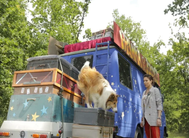 Where Was Lassie Come Home Filmed? An Interesting Adventure Drama!