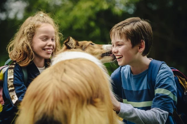 Where Was Lassie Come Home Filmed? An Interesting Adventure Drama!