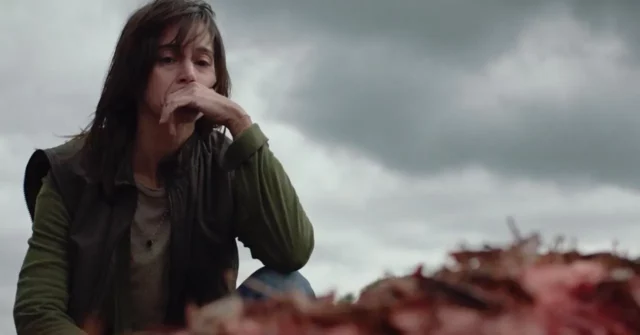 Where To Watch The Swarm For Free Online? A Gripping French Horror Drama Film!