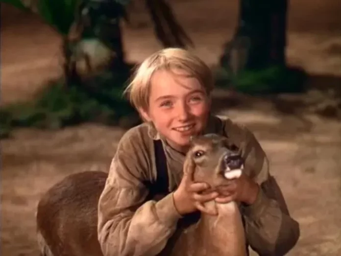 Where Was The Yearling Filmed? A Heart-Warming Western Flick!