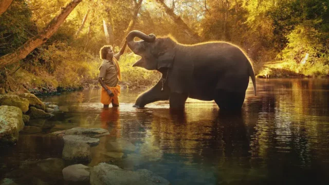 Where To Watch The Elephant Whisperers For Free Online? Kartiki Gonsalves’ Stunning Short Docu-Film!