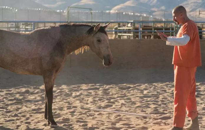Where Was The Mustang Filmed? A Heart-Touching Drama Flick!