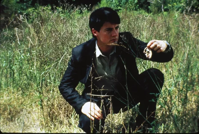 Where Was Blue Velvet Filmed? An American Neo-Noir Film From The ‘80s!!
