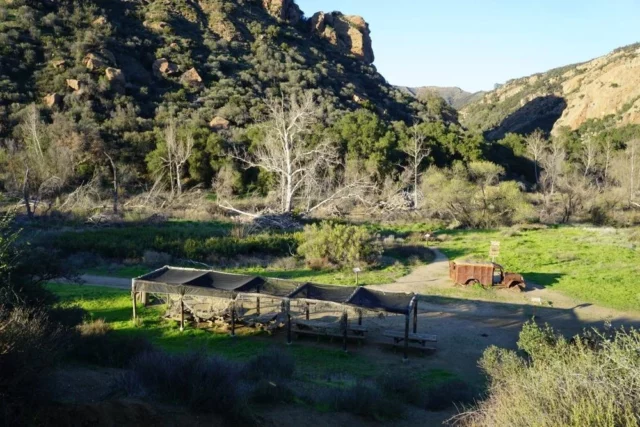 Where Was Mash Filmed? An Entertaining War-Comedy Film!