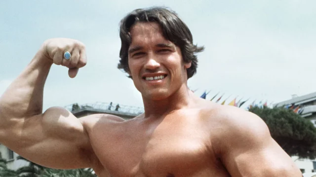 Where To Watch Arnold For Free Online? Lesley Chilcott’s Limited Docu-Series!